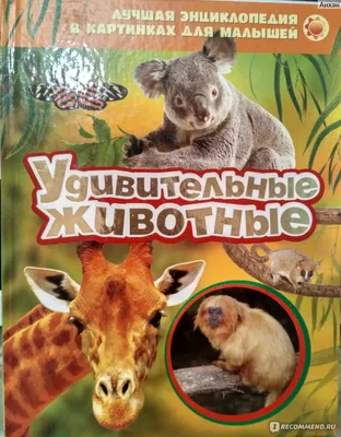 Обо всем на свете. Детская энциклопедия в картинках. Беленькая Т.Б купить  за 401 рублей - Podarki-Market