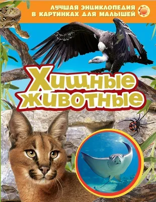 Книга Харвест Книга большая Энциклопедия для детей школьников Человек для  чтения с иллюстрациями купить по цене 884 ₽ в интернет-магазине Детский мир