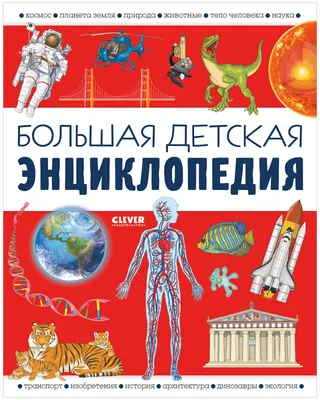 История транспорта и искусства: первые энциклопедии для малышей в картинках  - Папамамам — МИФ