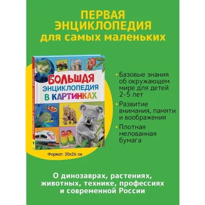 Большая энциклопедия в картинках 1262664 Росмэн купить по цене от 683руб. |  Трикотаж Плюс | Екатеринбург, Москва