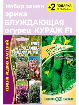 Экзотический сад у самой границы: почему Эрик вернулся в Армению и занялся  пермакультурой - 06.08.2023, Sputnik Армения