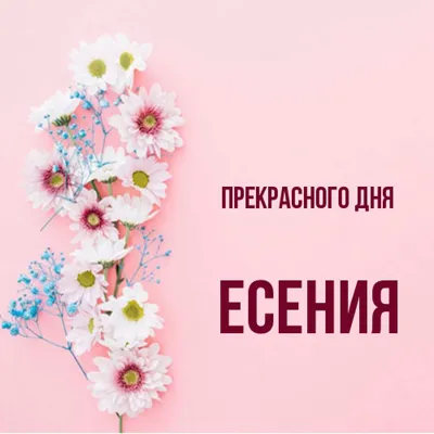 Сделать видео поздравление с днем рождения, Есения — Slide-Life.ru
