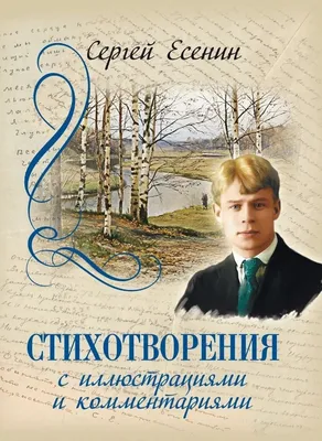 ДЕТСТВО И ШКОЛЬНЫЕ ГОДЫ СЕРГЕЯ ЕСЕНИНА | Петербург и история с Людой | Дзен