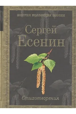 Есенин Сергей Александрович - Фрилансер Ярослав Воробьев jvorobjev -  Портфолио - Работа #389725