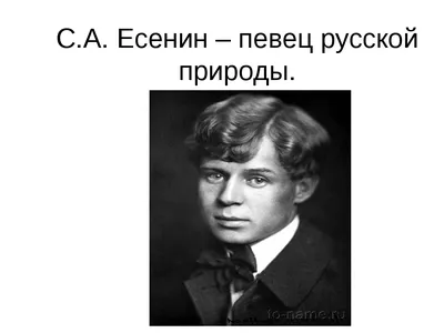 Стихи Есенина: истории из жизни, советы, новости, юмор и картинки — Все  посты, страница 66 | Пикабу