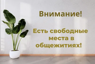 Сегодня есть свободные места на ✓️шугаринг ✓️бровки ✓️моментальный загар  ⏰14:50 ⏰16:30 .. | ВКонтакте