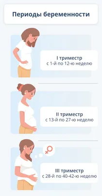 MamaMia.By :: Просмотр темы - Беременность в картинках.