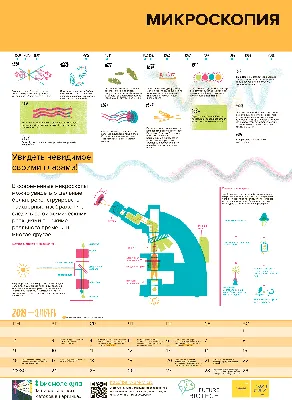 развитие PNG рисунок, картинки и пнг прозрачный для бесплатной загрузки |  Pngtree