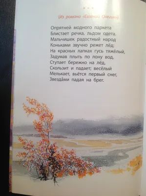 Евгений Онегин»: история создания романа, образ жизни, балы и дуэли в  романе.