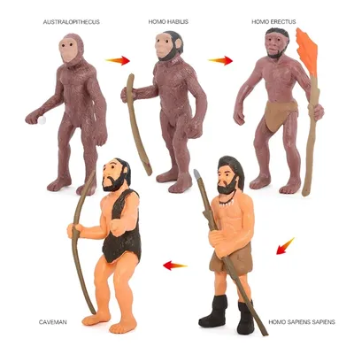 Evolution from ape to man - YouTube