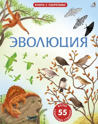 Издательство АСТ Эволюция человека. [В 3 кн.] Кн. 1. Обезьяны, кости и гены