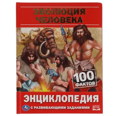 последовательность эволюции человека, картина эволюции человека, эволюция,  человек фон картинки и Фото для бесплатной загрузки