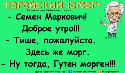 Еврейский юмор | Юмористические цитаты, Смешные поговорки, Позитивные цитаты