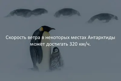 Факты в картинках фотографии