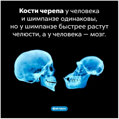 Факты в картинках » Приколы, юмор, фото и видео приколы, красивые девушки  на кайфолог.нет