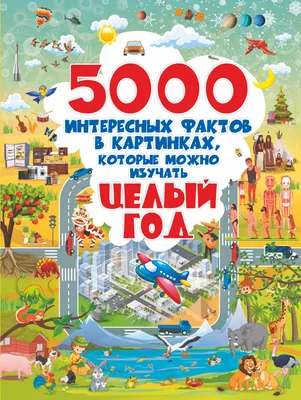 5000 интересных фактов в картинках, которые можно изучать целый год (Ирина  Барановская, Людмила Доманская, Дарья Ермакович, Ольга Лашкевич) - купить  книгу с доставкой в интернет-магазине «Читай-город». ISBN: 978-5-17-118192-5