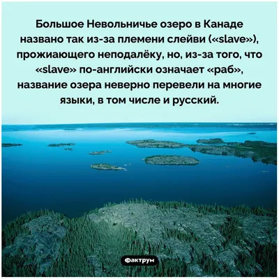 Факты в картинках » Приколы, юмор, фото и видео приколы, красивые девушки  на кайфолог.нет