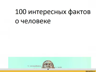 Удивительные факты о школе в картинках | Онлайн-школа School inter | Дзен