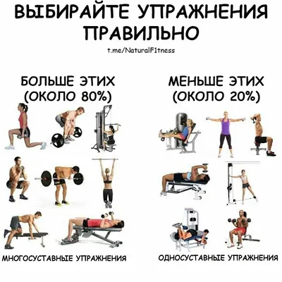 Hypertrophy Specific Training - УПРАЖНЕНИЯ И МЕТОДИКА ТРЕНИРОВОК - ЖЕЛЕЗНЫЙ  ФАКТОР