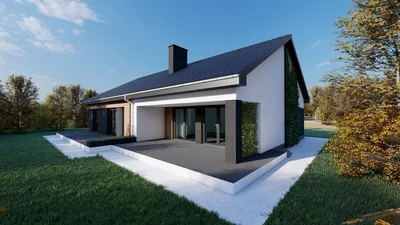 Одноэтажные дома с черной крышей фото – 135 лучших примеров, фото фасада  частных загородных домов и коттеджей | Houzz Россия