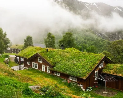 Фасады домов с зеленой крышей (48 фото)
