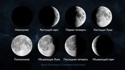 Фаза Луны сегодня — Лунный календарь 2023 | Какая сегодня Луна — растущая  или убывающая | Star Walk