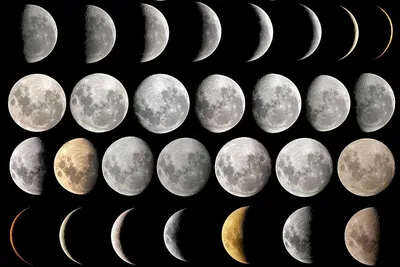 Фазы Луны. | Про астрономию и космос! | Дзен