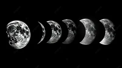 количество фаз луны с землей рядом с ней, картинка лунного цикла фон  картинки и Фото для бесплатной загрузки