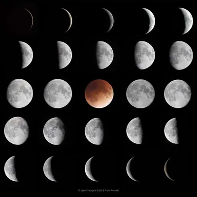 Фазы Луны | Пикабу