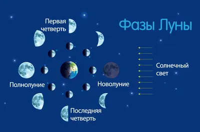 Фазы Луны, настенный календарь 2022, лунный календарь, фаза Луны, плакат,  постер на космическую тематику, печать ночного неба, небесный декор, декор  на стену Луны | AliExpress