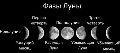 Фазы Луны. Большая российская энциклопедия