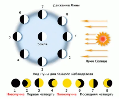 Картинки фазы луны (69 фото) » Картинки и статусы про окружающий мир вокруг