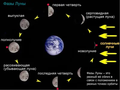 КАК ФАЗЫ ЛУНЫ 🌕🌑🌓🌔влияют на наш характер? | ASTRO_4U Астрология, Хорары  и Разборы | Дзен