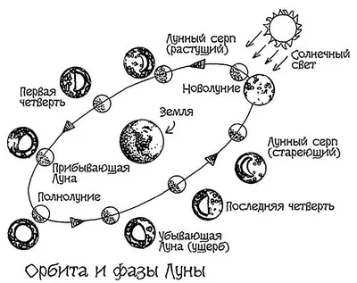 Картинки фазы луны для детей (69 фото) » Картинки и статусы про окружающий  мир вокруг