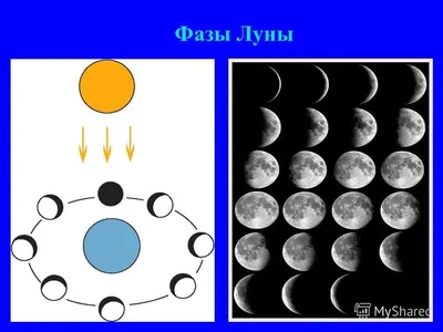 Картинки фазы луны с названиями для детей (69 фото) » Картинки и статусы  про окружающий мир вокруг