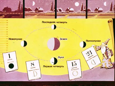 Купить набор для опытов 4M Макет Земля-Луна. Собери и раскрась (научная  игра для детей), цены на Мегамаркет | Артикул: 100025366056