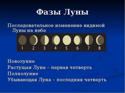 Почему в полнолуние часто рождаются дети: как связаны фазы Луны с  организмом женщины | Разное