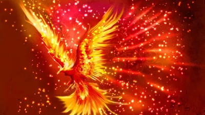 огненный феникс летит в воздухе, картинка феникса фон картинки и Фото для  бесплатной загрузки