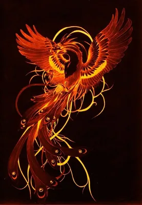 Летящий феникс с длинным огненным хвостом — Арт картинки | Птица феникс,  Эльфийское фэнтези, Фэнтези