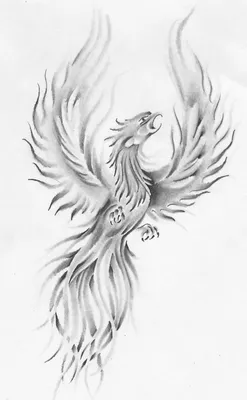 Птица Феникс в силуэте черного полета нарисованном декоративными строк в  плоском стиле. Эмблема логотипа Interbase татуировки птиц Иллюстрация  вектора - иллюстрации насчитывающей линия, пламя: 205390881