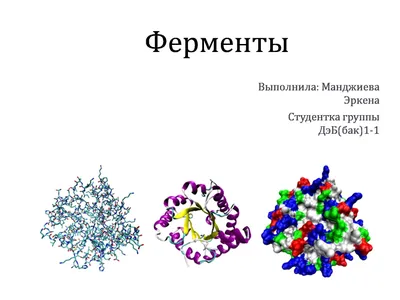 Ферменты в картинках фотографии