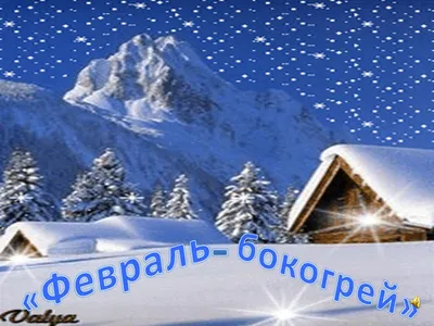 Праздник \"Февраль-Бокогрей\"