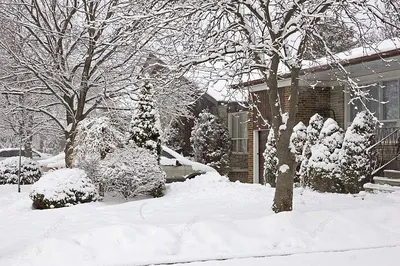 снег февраль март Фото Фон И картинка для бесплатной загрузки - Pngtree
