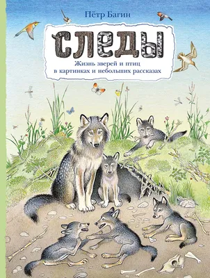 Следы. Жизнь зверей и птиц в картинках и небольших рассказах – Книжный  интернет-магазин Kniga.lv Polaris