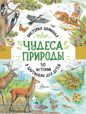 Фонетические рассказы. Составление рассказов по сюжетным и предметным  картинкам. Звуки [с], [с`], [з], [з`], [ц]. ФГОС : Подготовка к обучению  грамоте : Бухарина Ксения Евгеньевна : 9785906852434 - Troyka Online