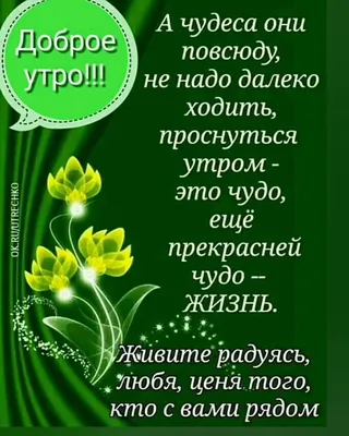 Доброе утро - Радостного утра и хорошего дня! картинки утренние позитивные,  гифки Доброе утро - Радостного утра и хорошего дня! ка… | Открытки, Доброе  утро, Надписи