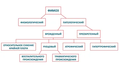 Фимоз - Полезная статья от МЦ Формула здоровья