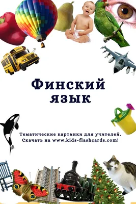 1300+ Бесплатных Карточек на Финском в PDF Формате