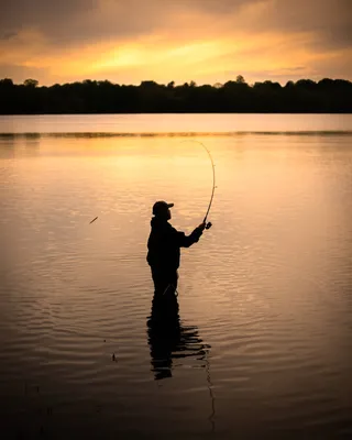 Best time to go tarpon fishing in the Florida Keys revealed