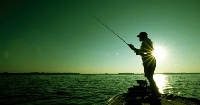 FishingBooker: Fort Lauderdale Fishing: The Complete Guide for 2023